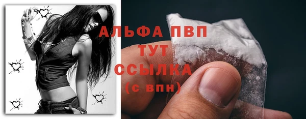 мяу мяу мука Абаза