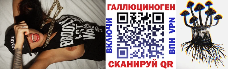 купить наркотики цена  Кинешма  Псилоцибиновые грибы Psilocybe 